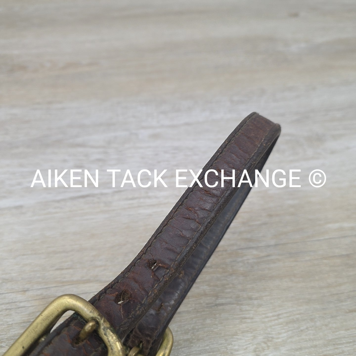 Walsh Triple Stitched Leather Halter, Has Name Plate, Size Cob