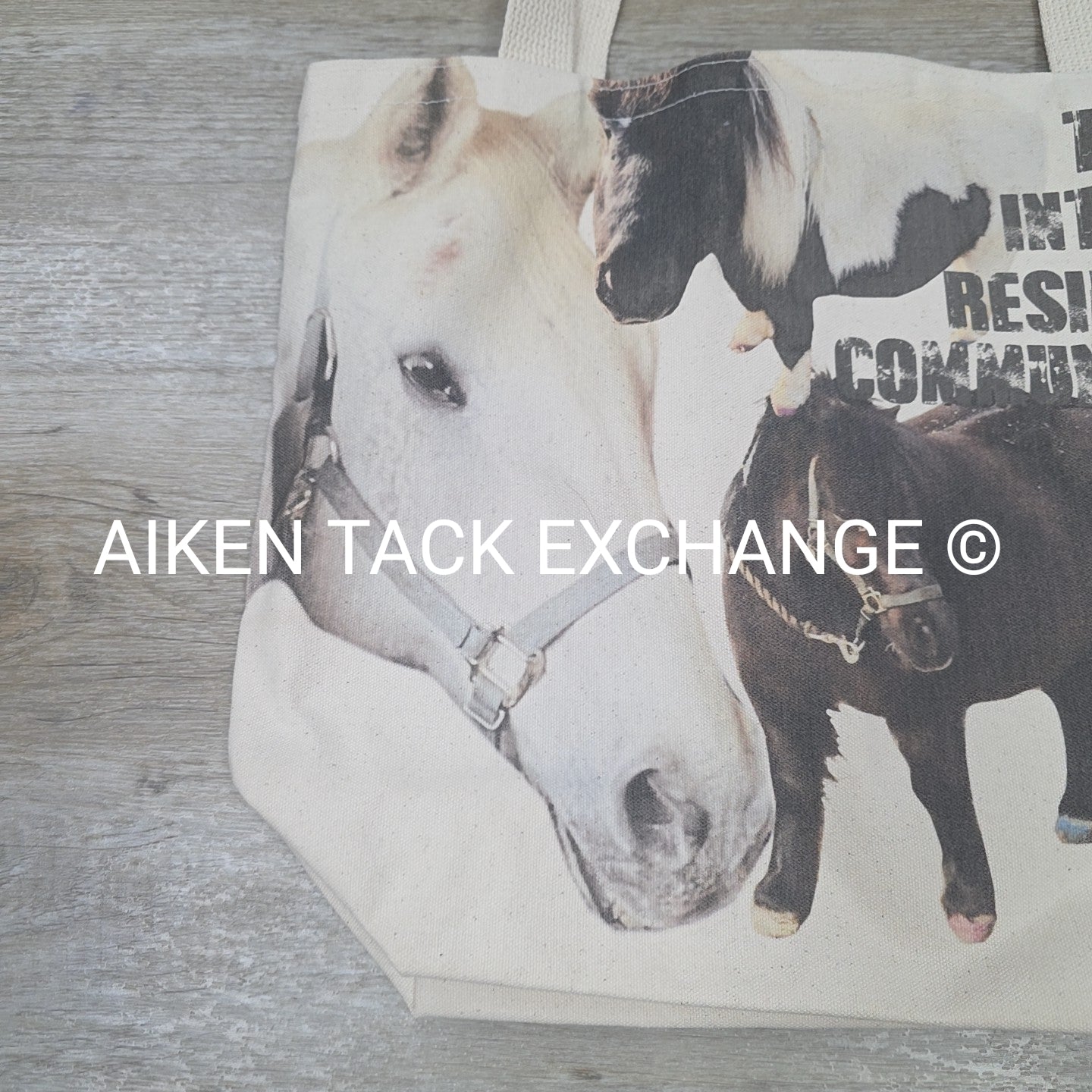 Canvas Tote Bag