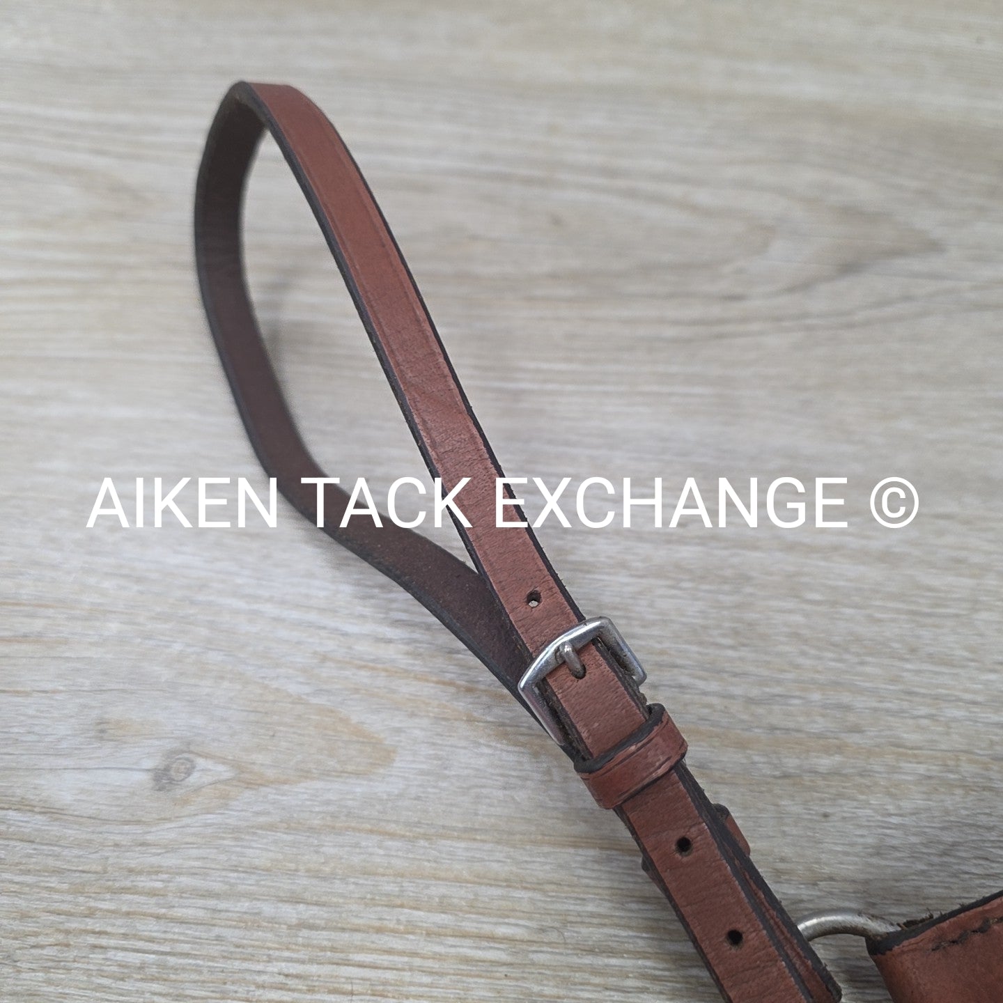 Plain Raised Adjustable Breastplate, Brown, Size Full