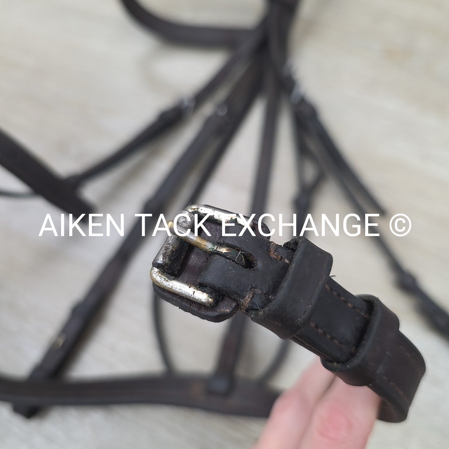 BARGAIN BUNDLE: Dover Saddlery Fancy Stitched Bridle with 2 Pairs Laced Reins &