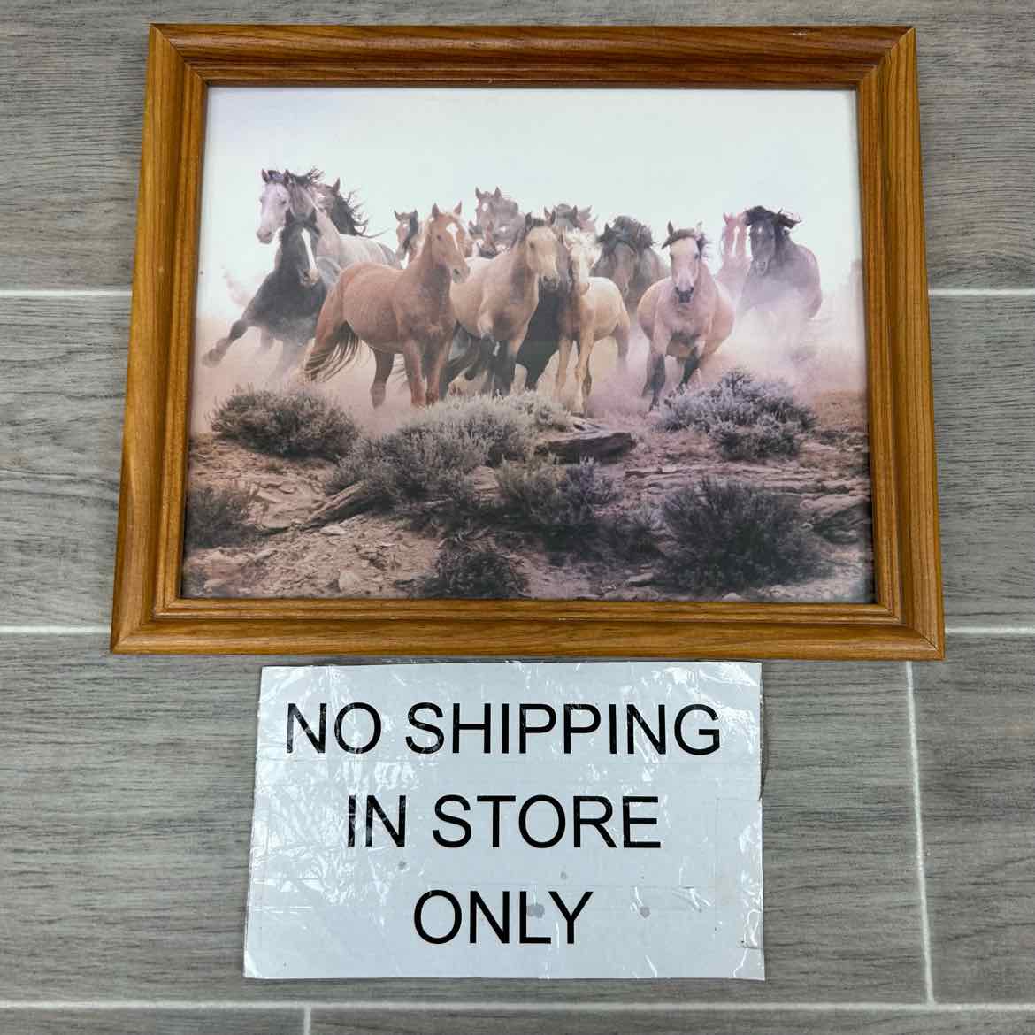 Framed Horse Photo 11" x 9"