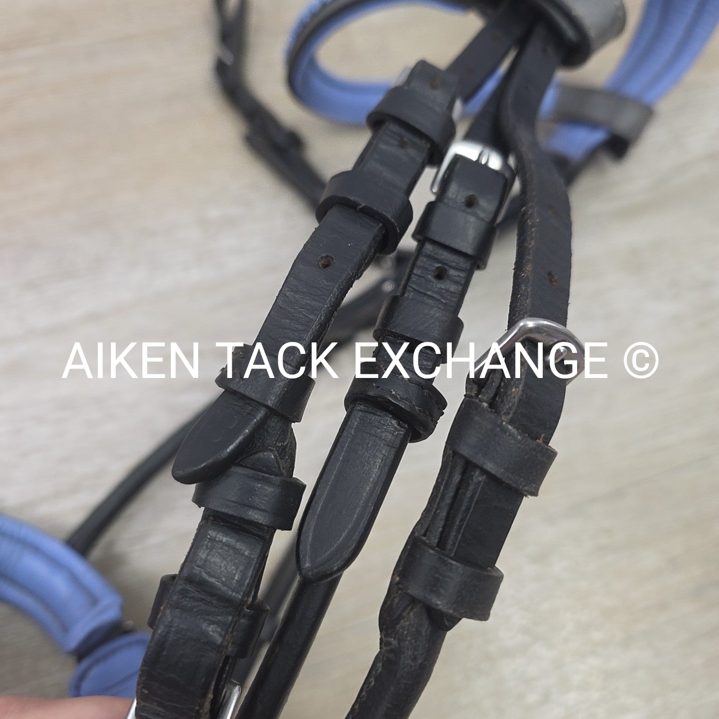 Halter Ego Rolled Dressage Bridle, No Reins, Size Cob