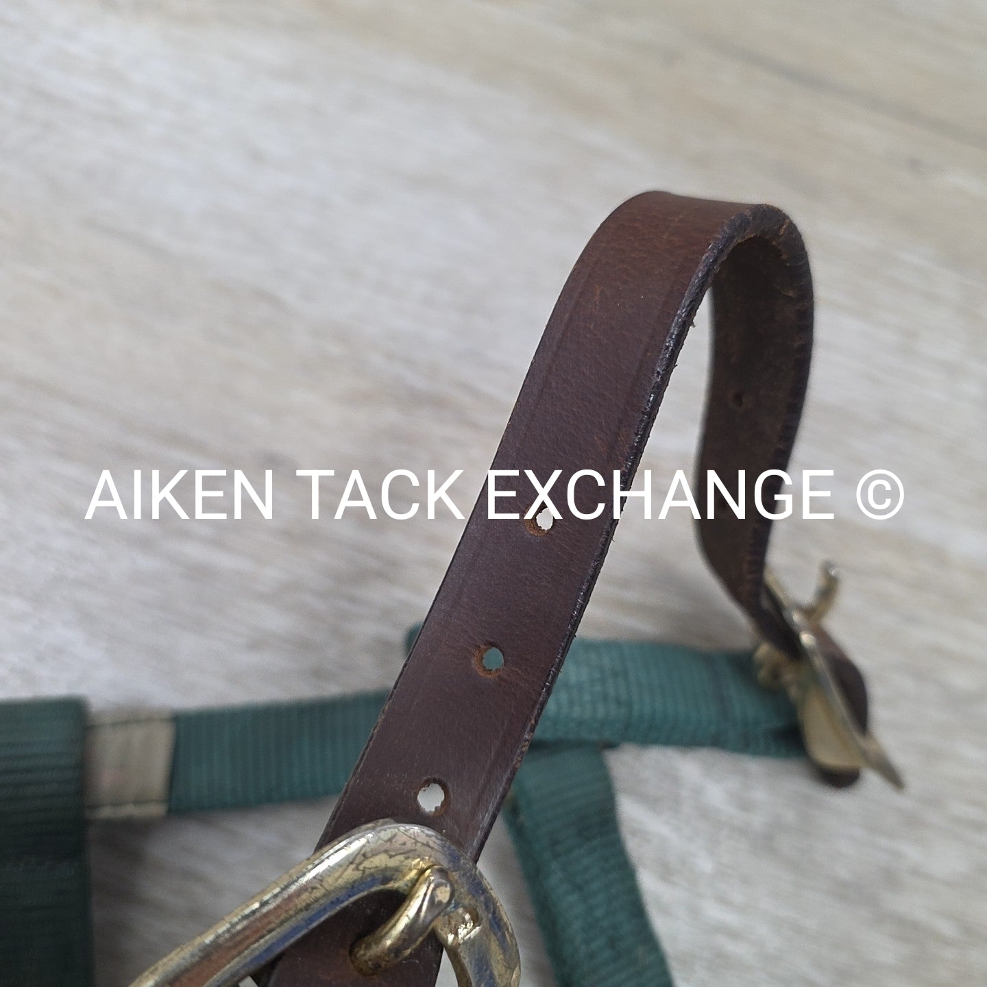 Hamilton Nylon Breakaway Halter, Size Foal