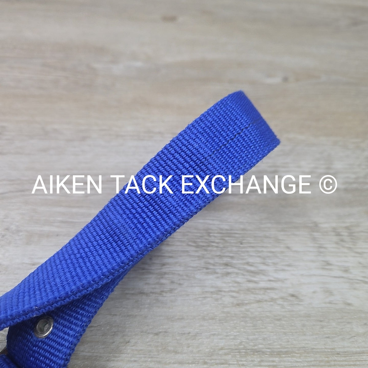 Nylon Halter, Draft