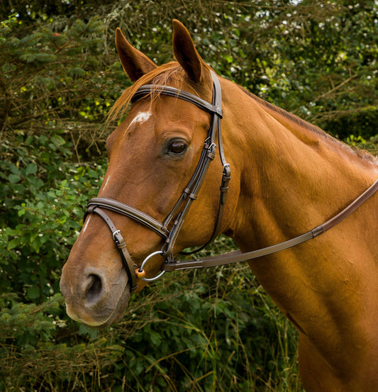 Henri de Rivel Pro Mono Crown Bridle and Rubber Reins: Havana / Cob