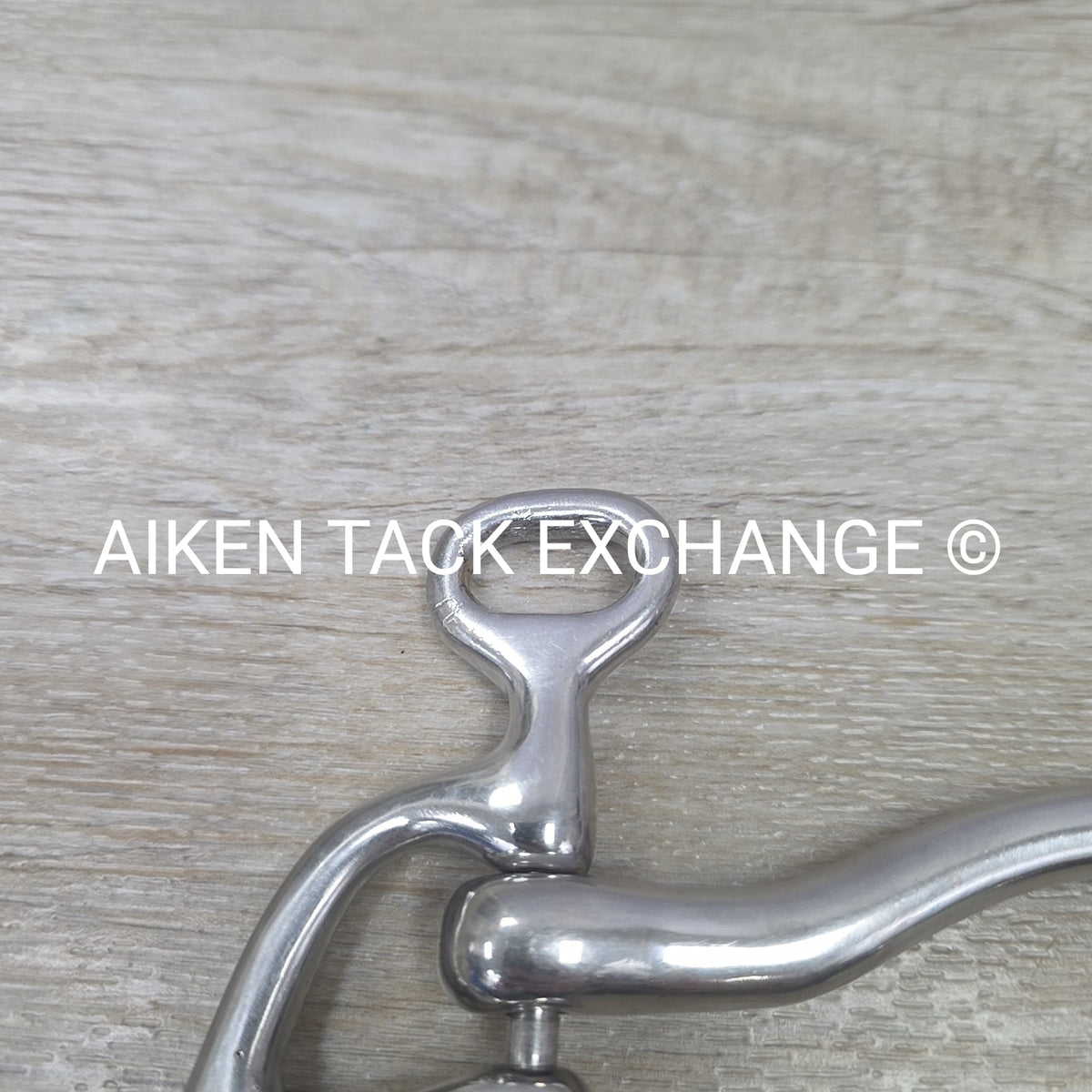 Mullen Mouth Shanked Walking Horse Bit 5"