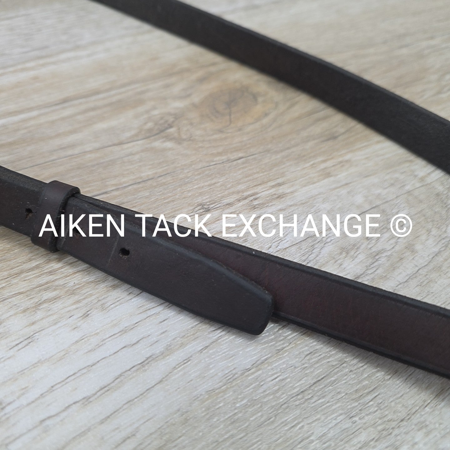 Horse Country First Flight Standing Martingale, Brown, Oversize