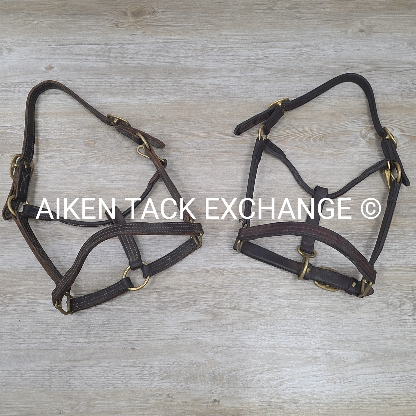BARGAIN BUNDLE: 2 Leather Halters, Has Name Plates, Size Full