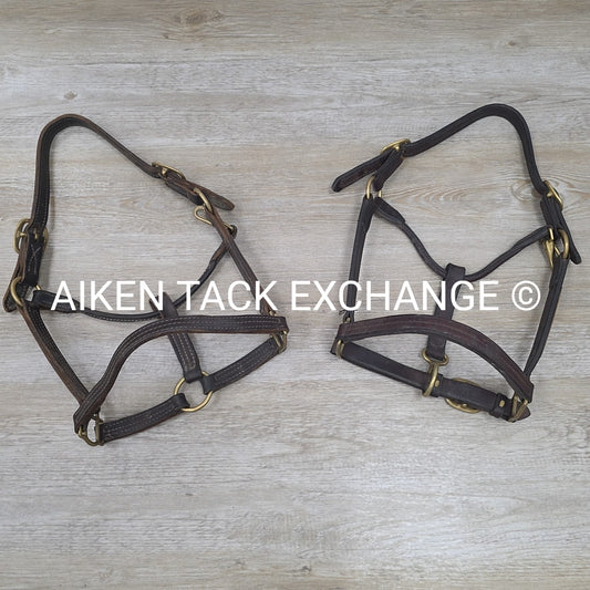BARGAIN BUNDLE: 2 Leather Halters, Has Name Plates, Size Full