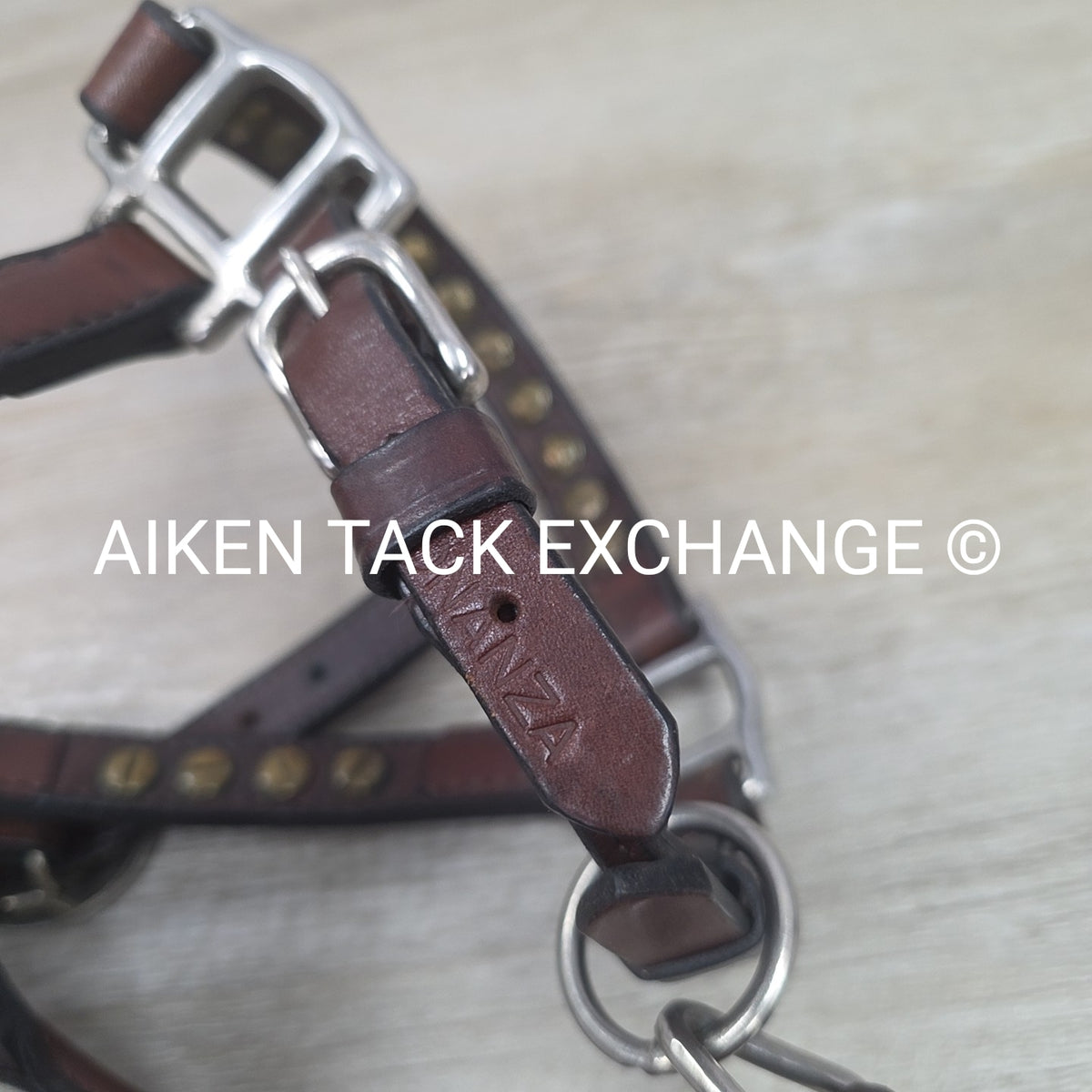 Western Show Halter, Size Foal