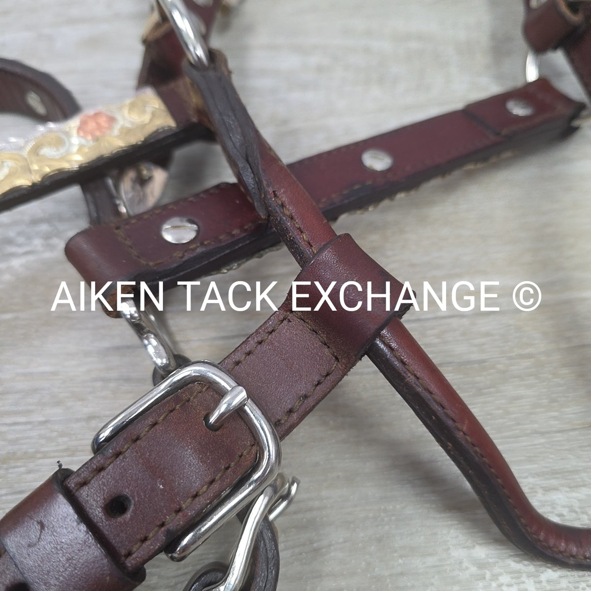 Western Show Halter, Size Full