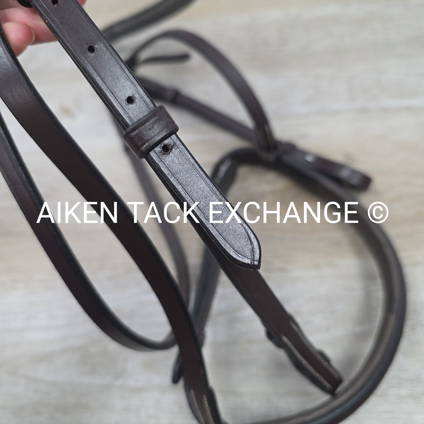 KL Select Black Oak Aster Bridle, No Reins, Oversize
