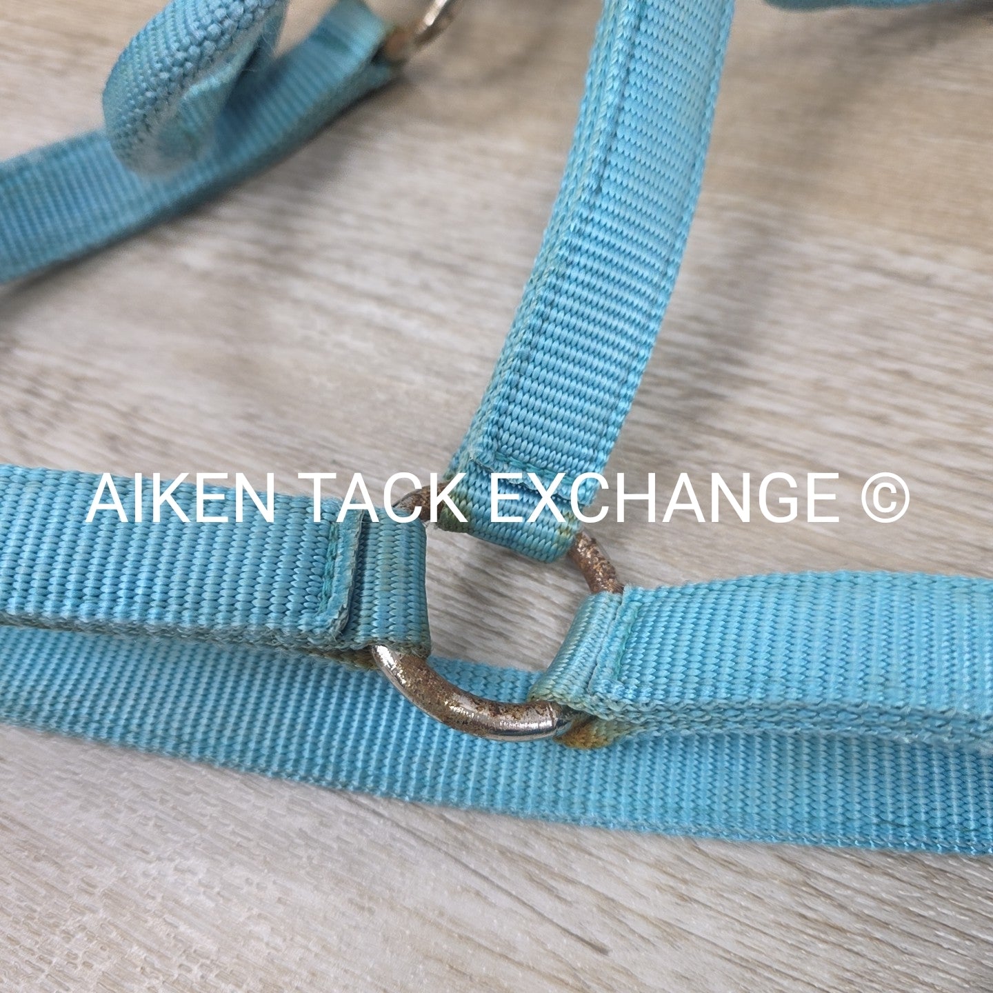 BARGAIN BUNDLE: 3 Nylon Halters, Various Sizes
