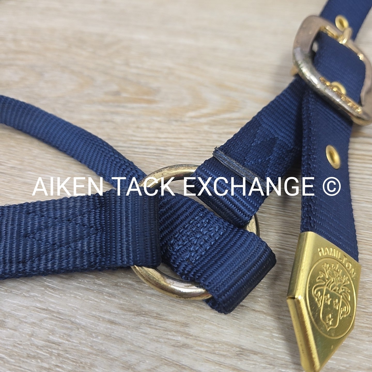 Hamilton Professional's Choice Nylon Halter, Size Full