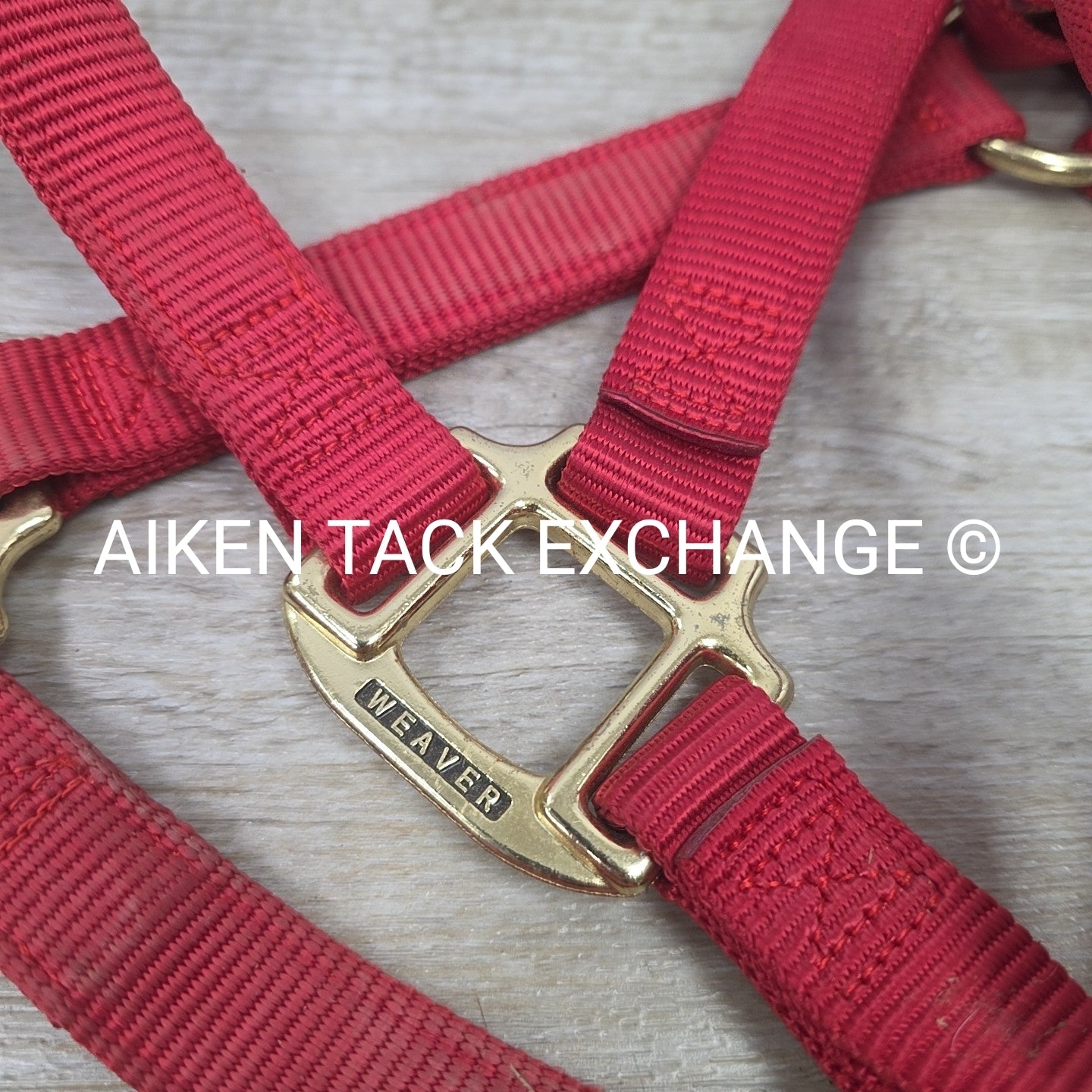 Weaver Nylon Halter, Average Horse