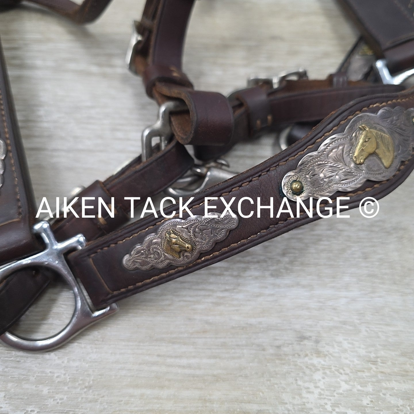 Victor Quality Westen Show Halter with Lead