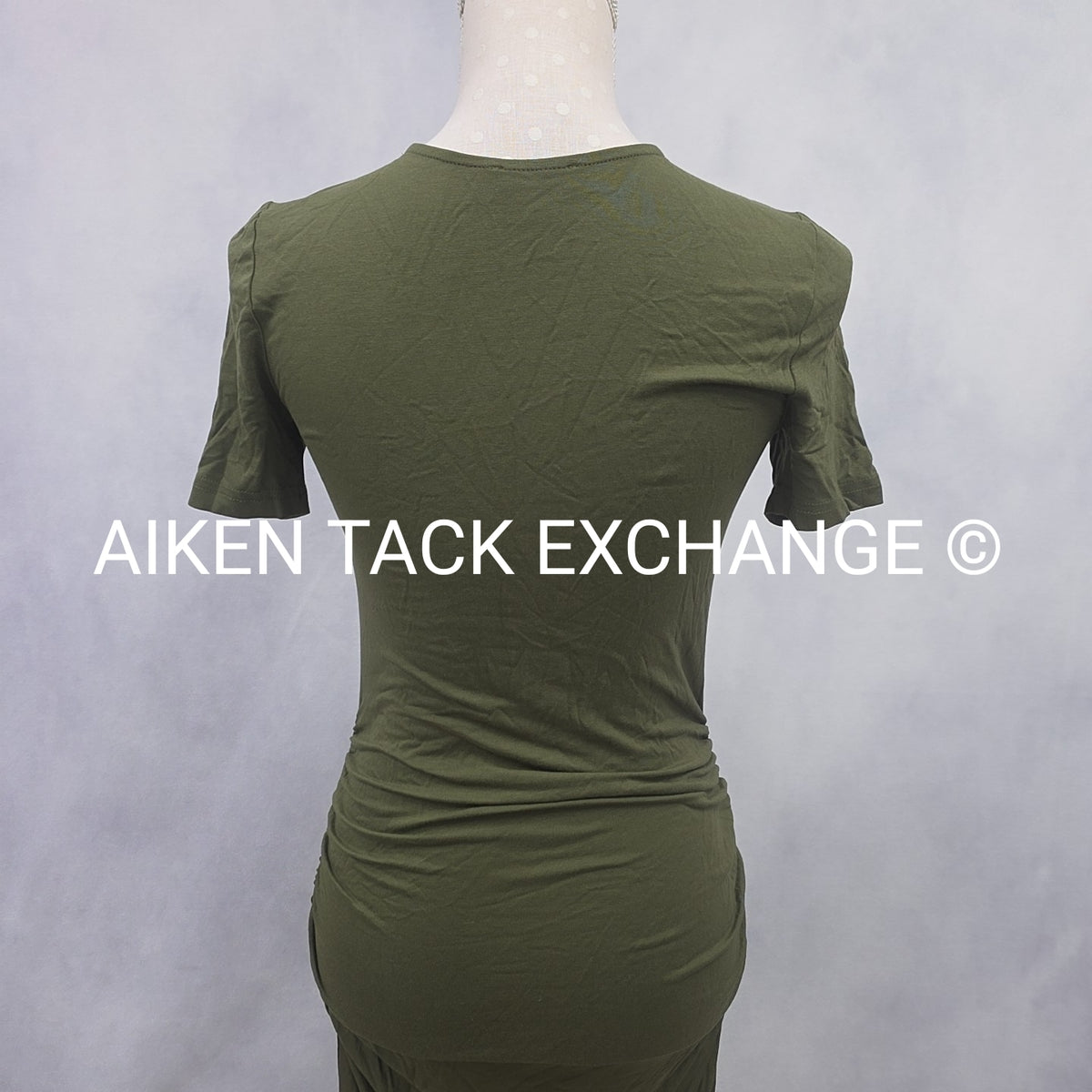 Venus T-Shirt Dress, Size X-Small