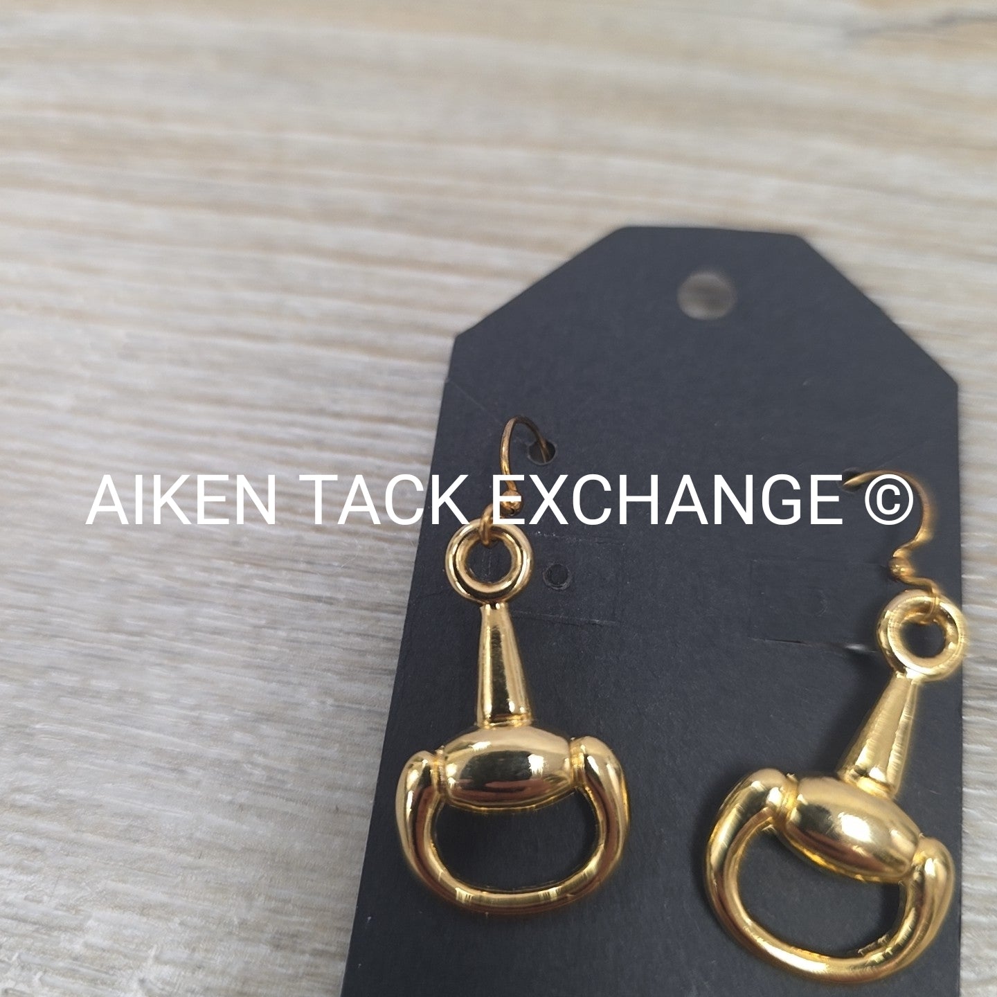 Gold Snaffle Bit Earrings