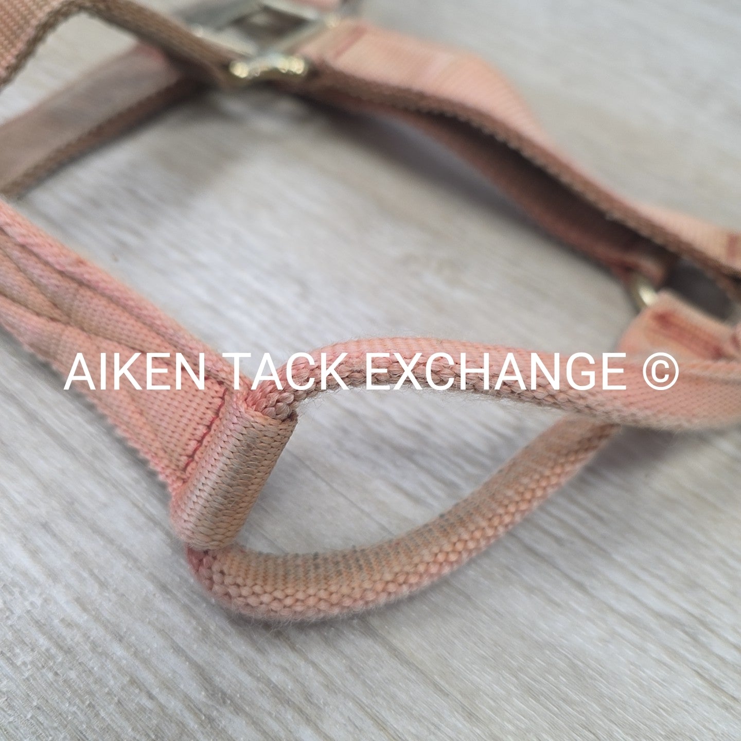 BARGAIN BUNDLE: Nylon Halter, Size Small with Lead Rope