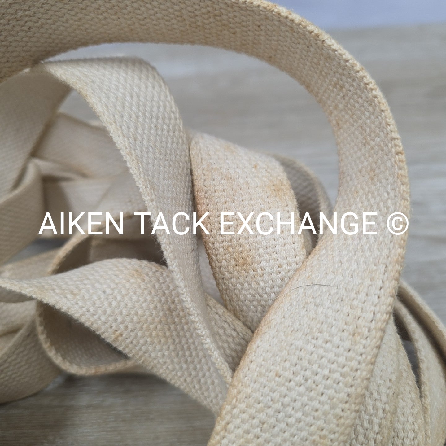 BARGAIN BUNDLE: Dover Saddlery Cotton Web Lunge Line with Chain & Stirrup Keeper