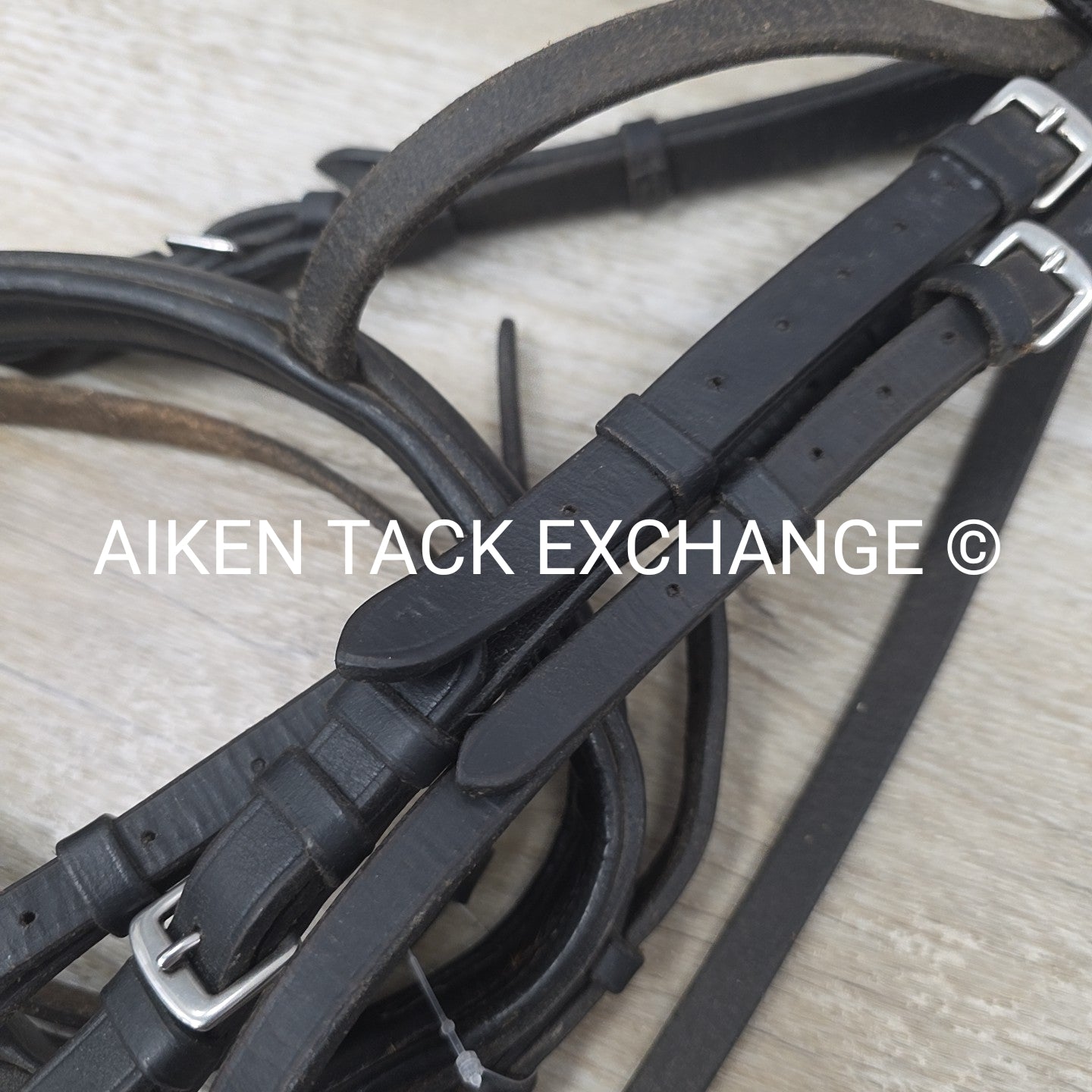 BARGAIN BUNDLE: Flash Bridle with Running Martingale, Black, Size Full