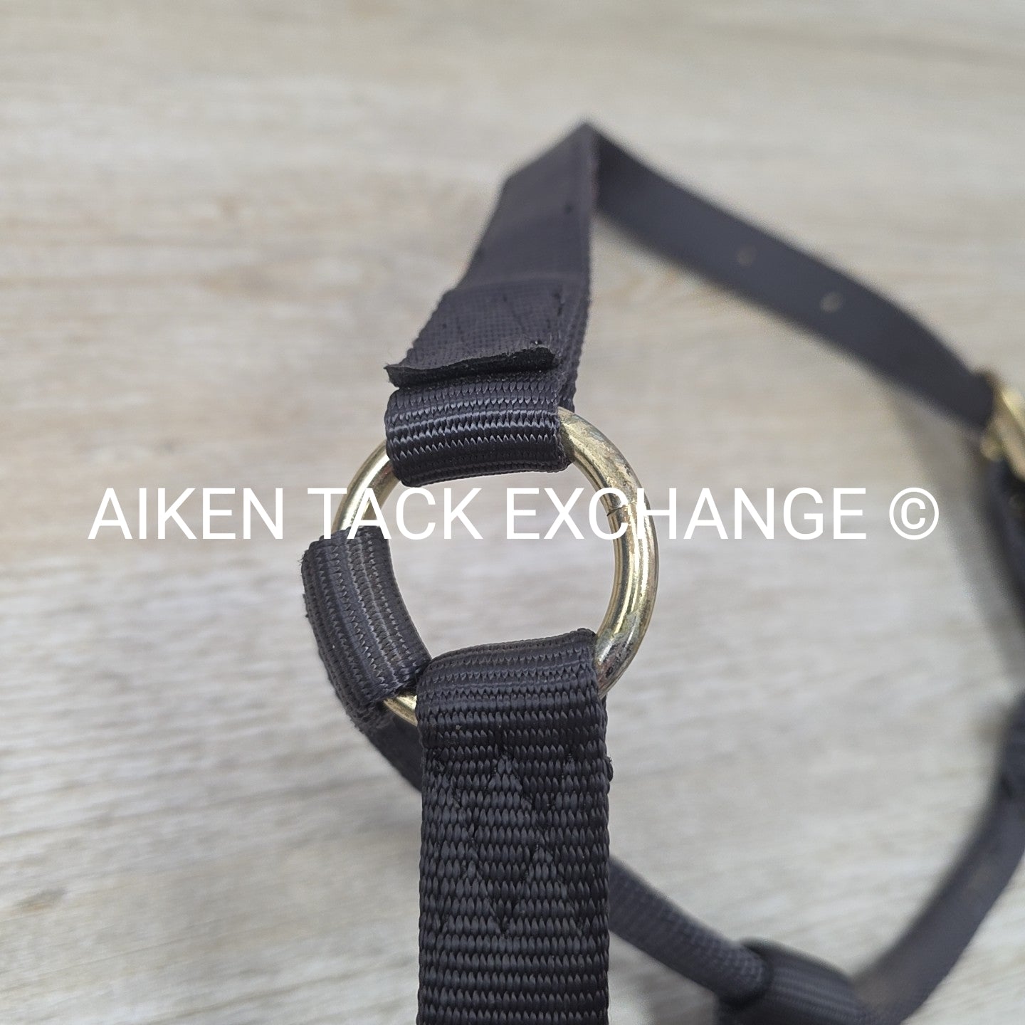 Nylon Halter, Size Medium