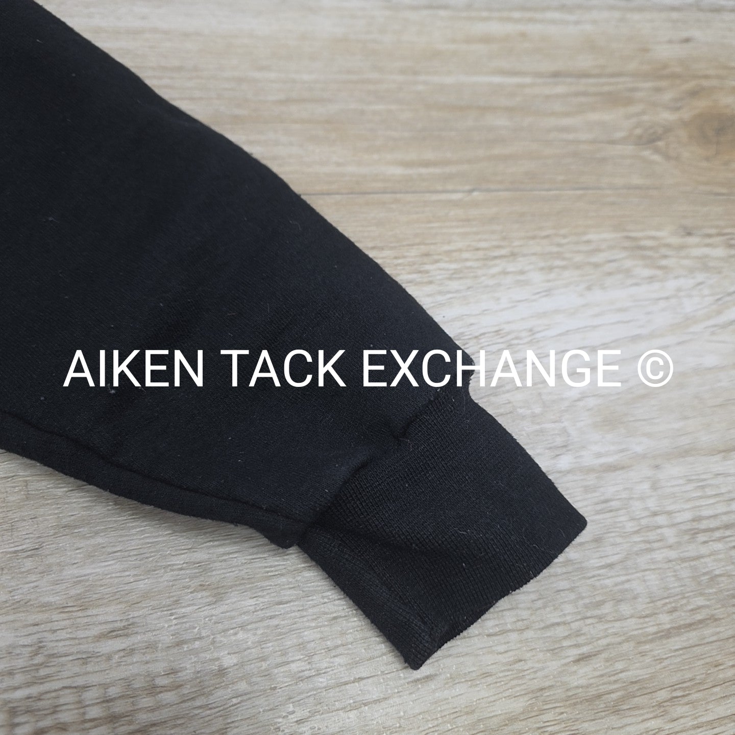 Champion horseflight.com Hoddie, Size Medium