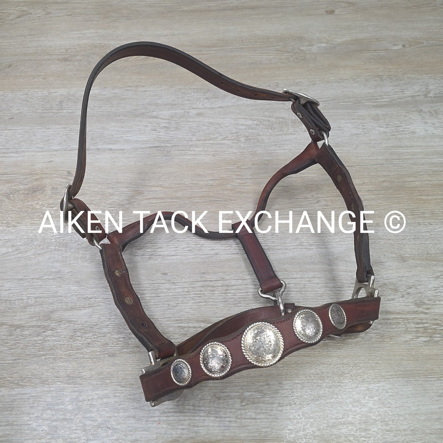 Western Show Halter, Size Full