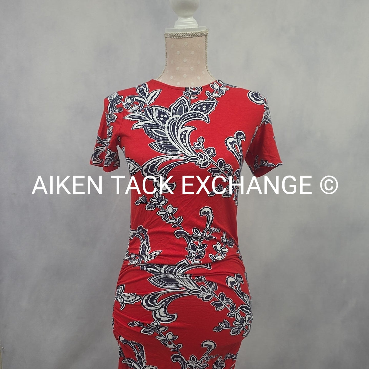 Venus T-Shirt Dress, Size X-Small
