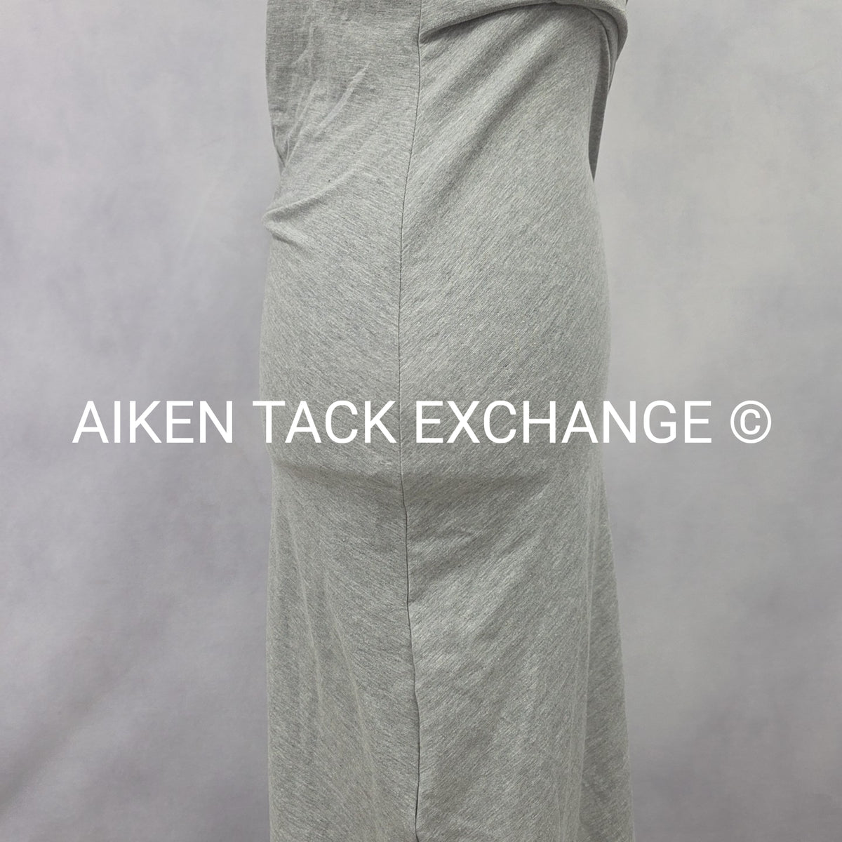 Venus T-Shirt Dress, Size X-Small