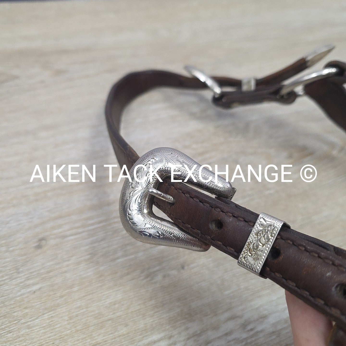 Circle Y Engraved Show Halter with Matching Lead, Size Full