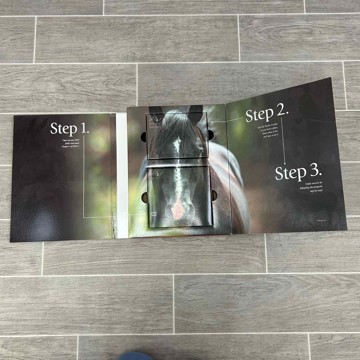 Pat Parelli Natural Horsemanship Partnership Level 1 DVD Set