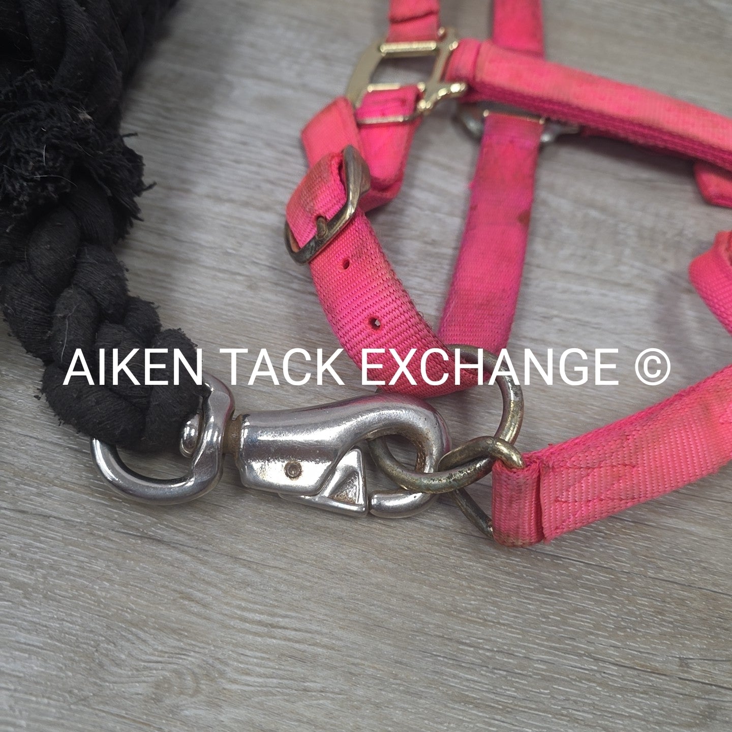 BARGAIN BUNDLE: 2 Nylon Halters & 2 Lead Ropes