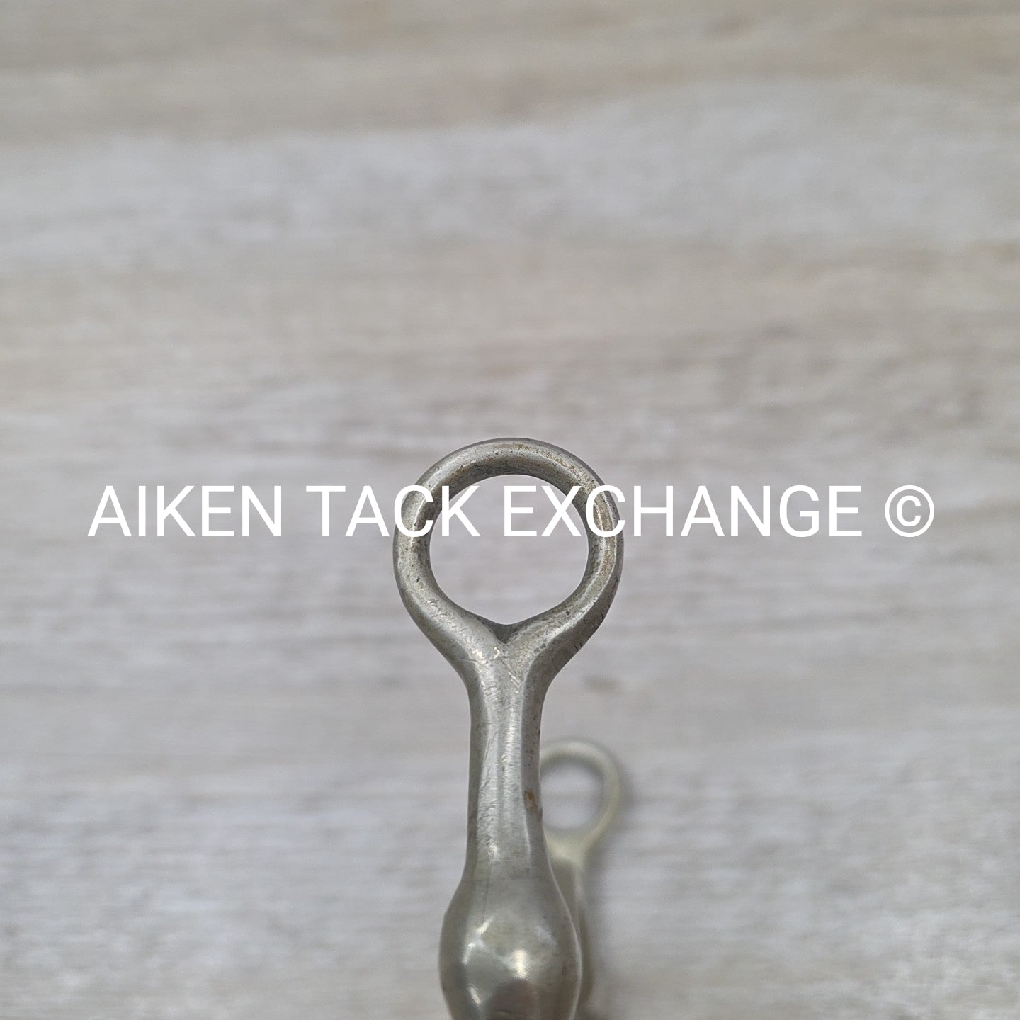 Never Rust Long Shank Bit 5" (No Hooks & Curb Chain)