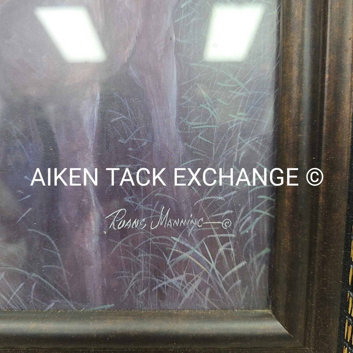 Ruane Manning Framed Artwork, 14" x 26"