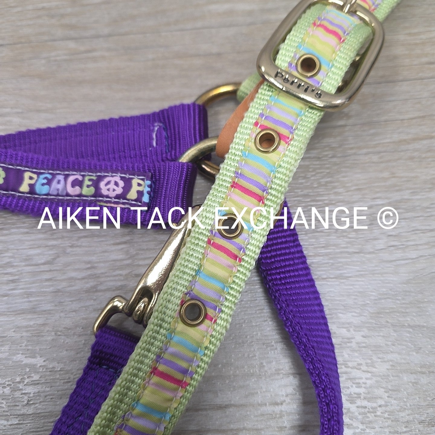 Perri's Nylon Breakaway Halter w/ Cotton Lead Rope, Size Cob