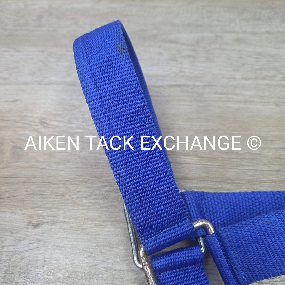Nylon Halter, Draft