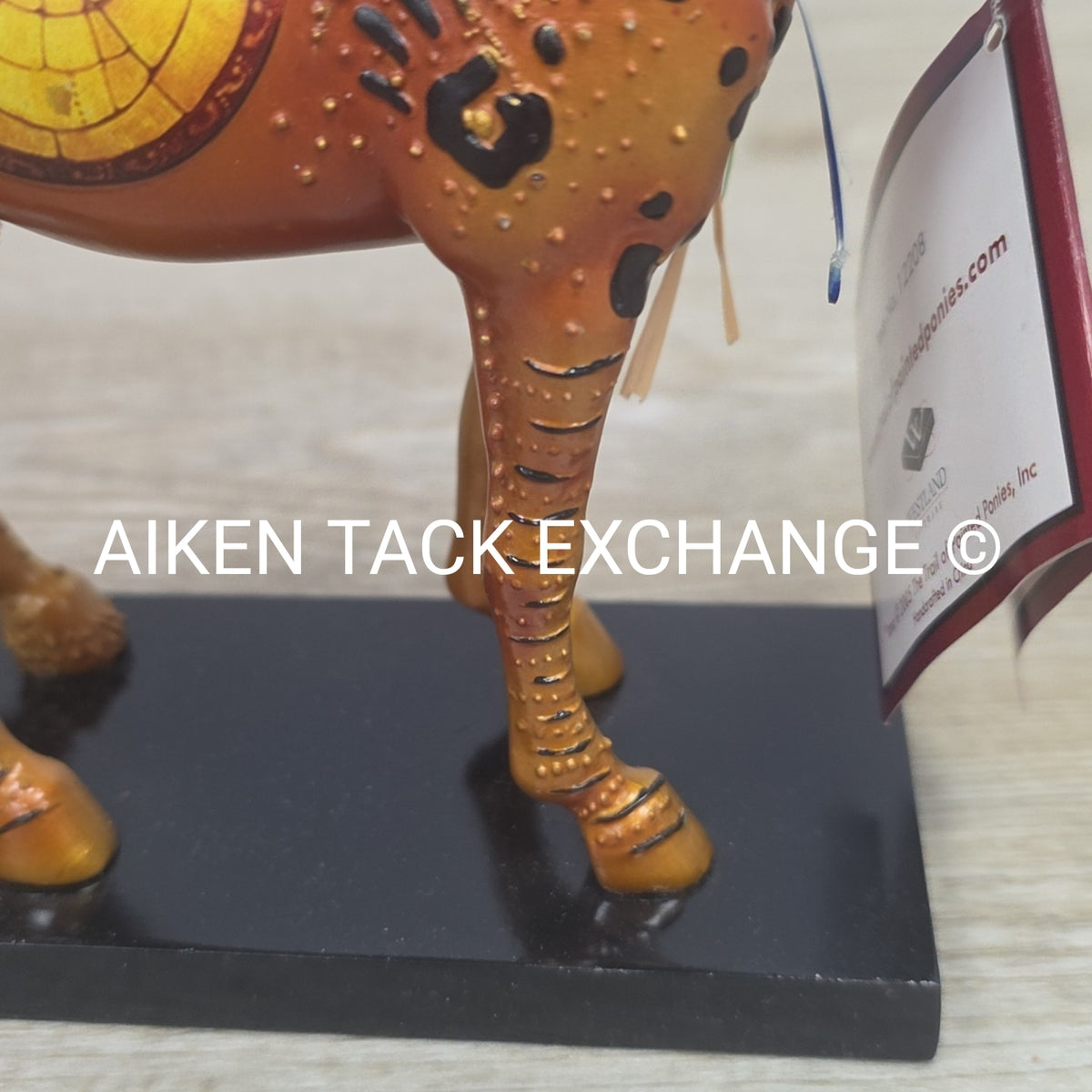 Trail of Painted Ponies - Reunion Of The Family Man