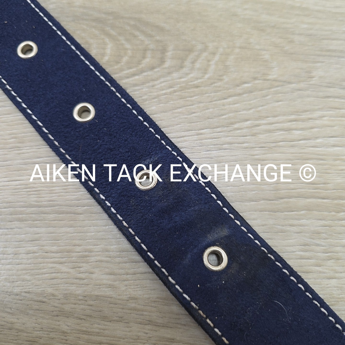 Equine Couture Suede Belt, Size Small