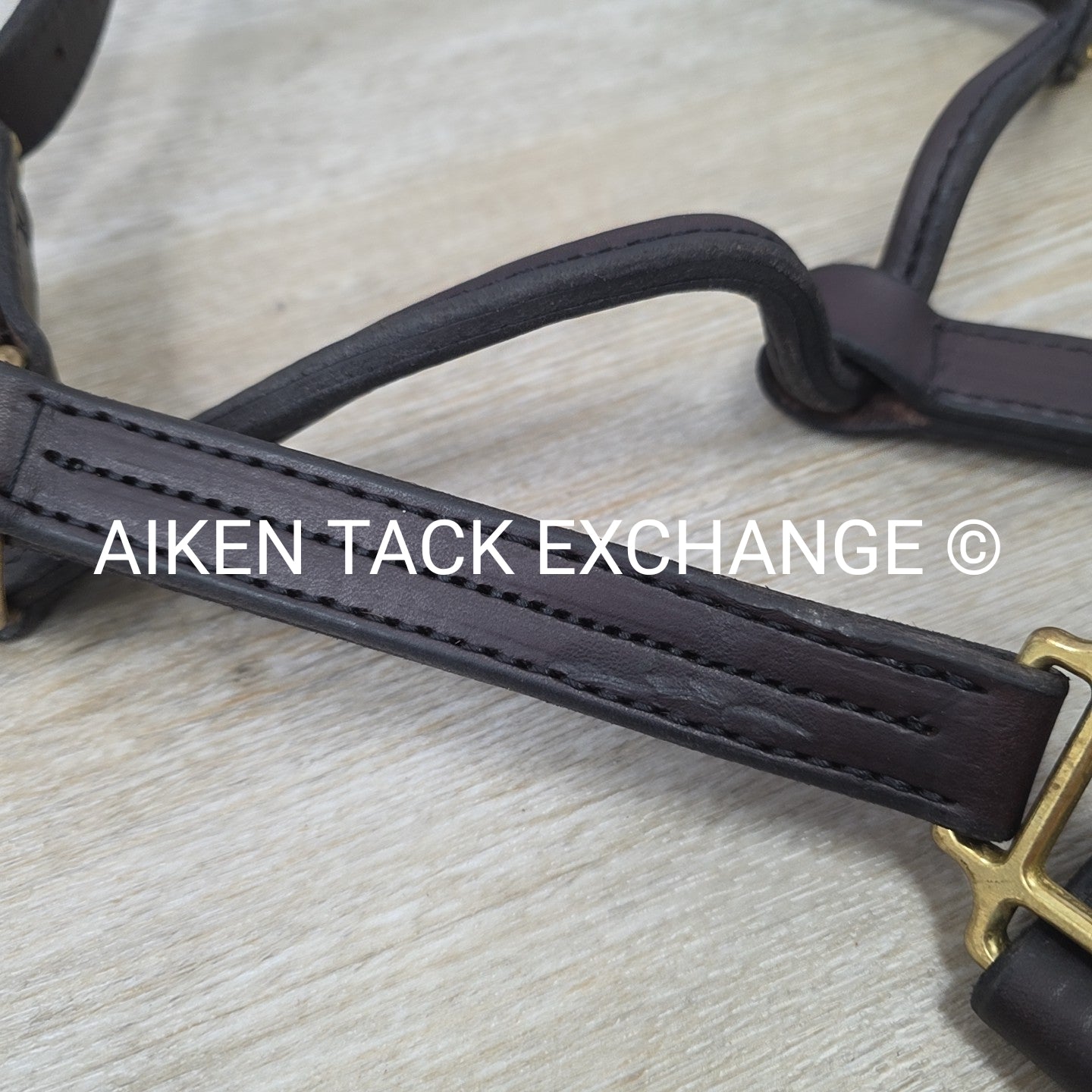 Perri's Heavy Duty Track Halter w/ Snap, Size Cob