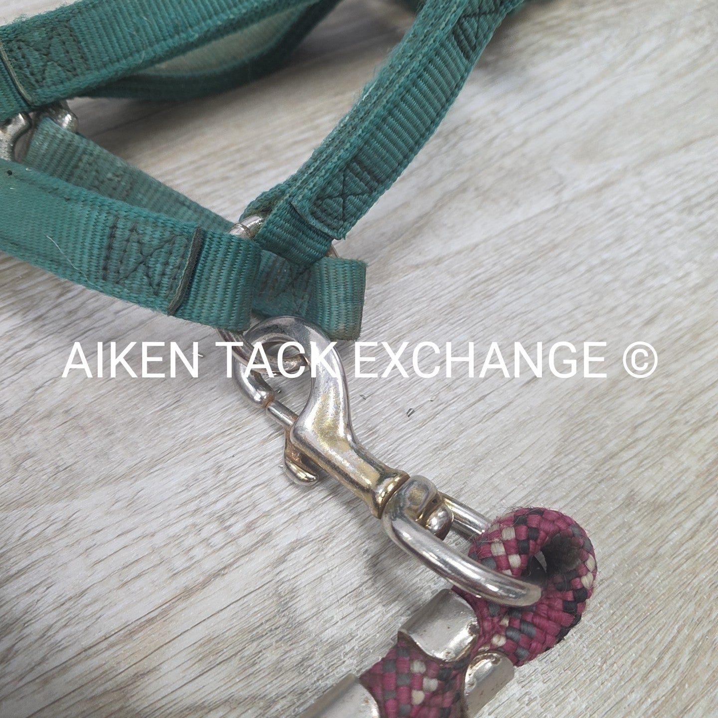 BARGAIN BUNDLE: 2 Nylon Halters & 2 Lead Ropes