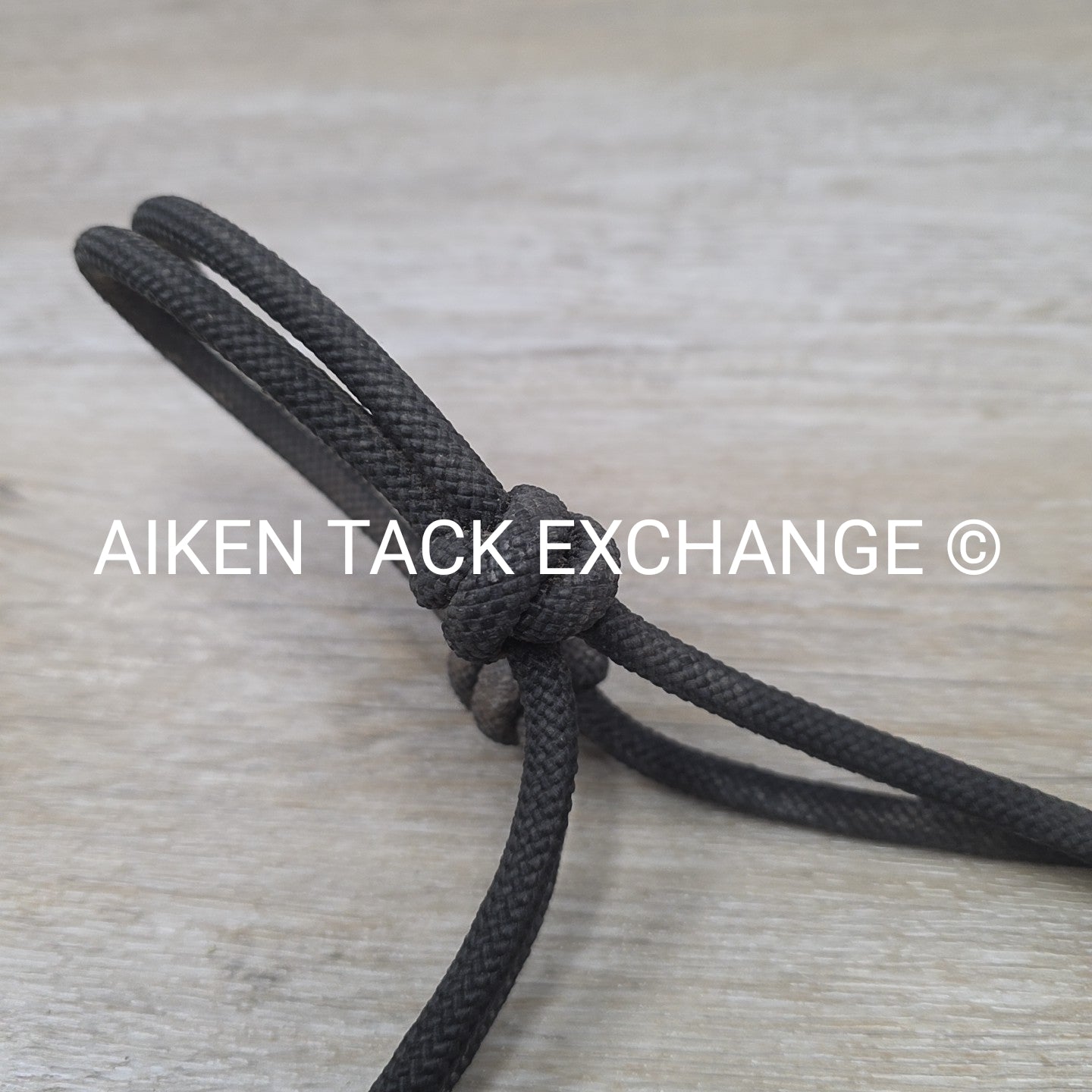 Weaver Leather Silvertip Tope Halter with Lead