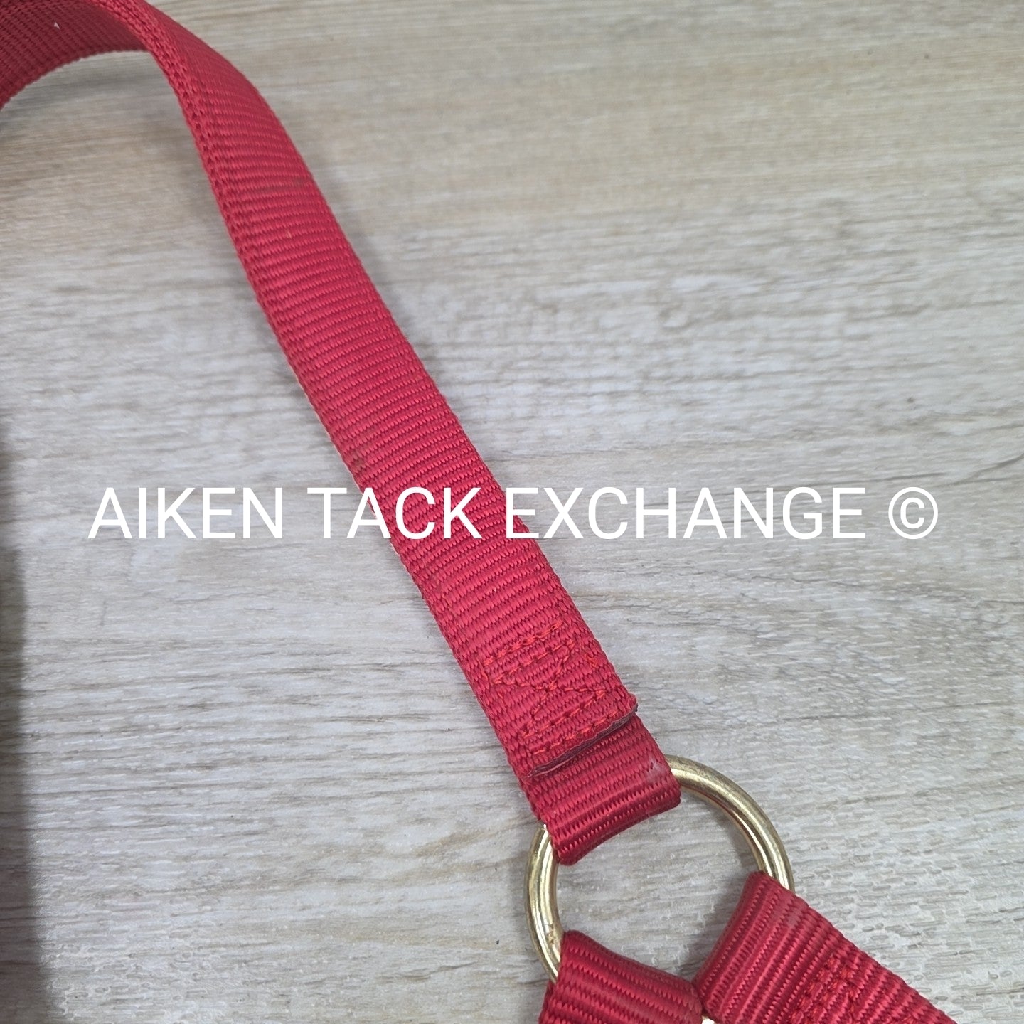Weaver Nylon Halter, Average Horse