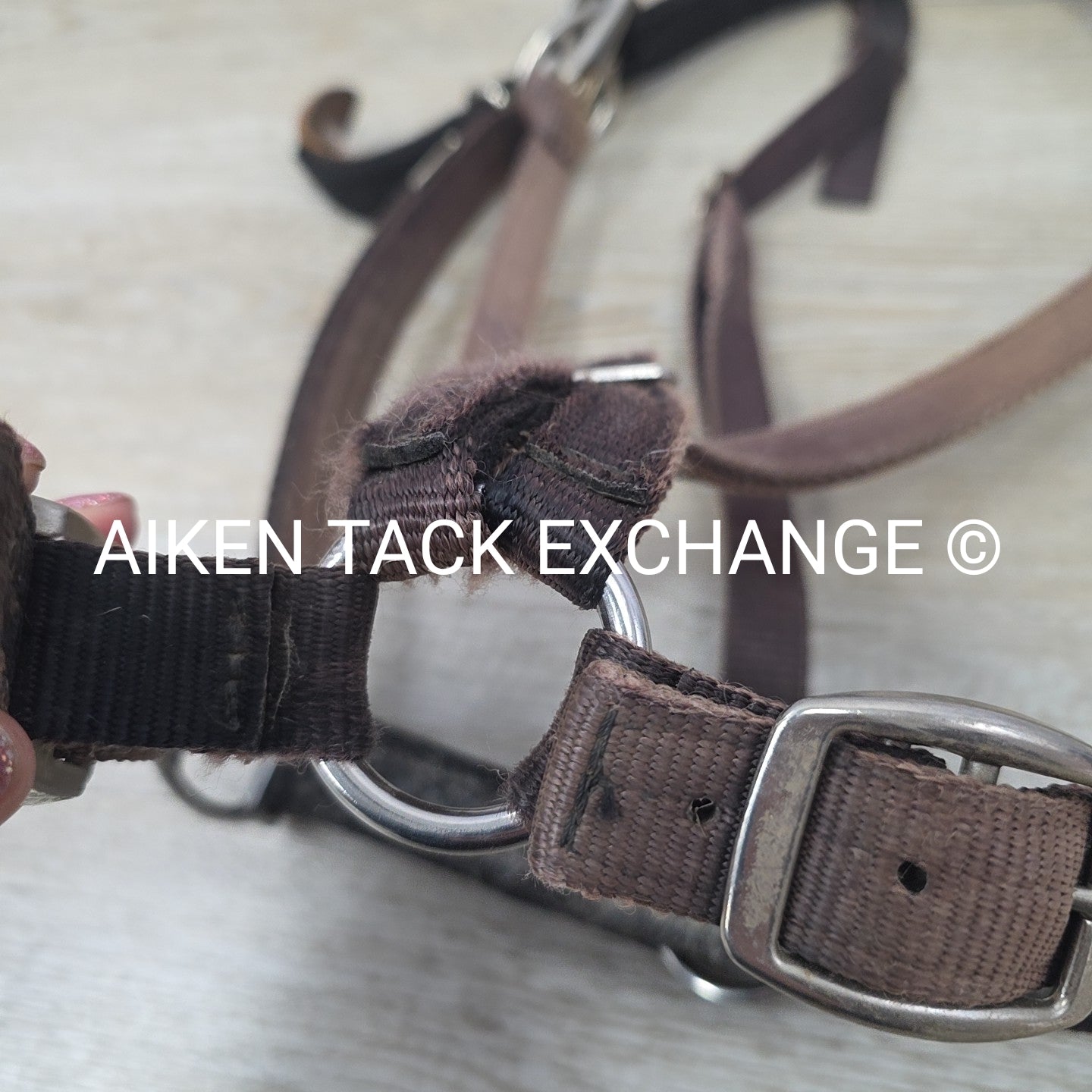 GreenGuard Premium Breakaway Halter, Cob