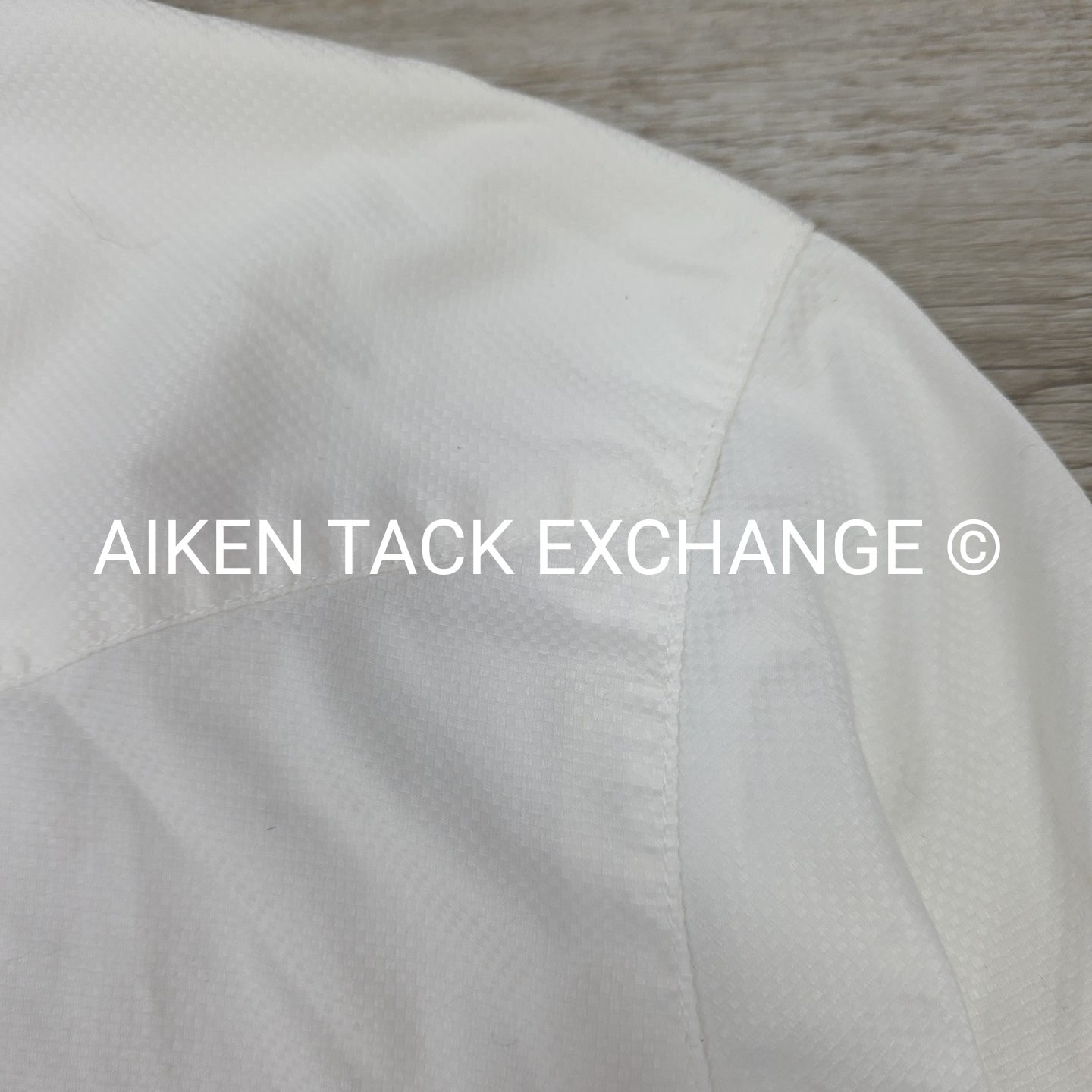 Allon Equestrian Show Shirt, Women's 34
