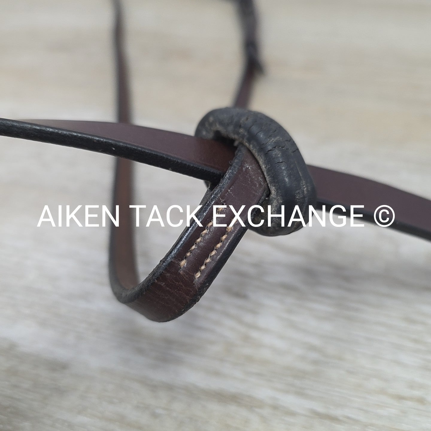 Hadfield Bridleworks Flat Standing Martingale, Size Extra Oversize