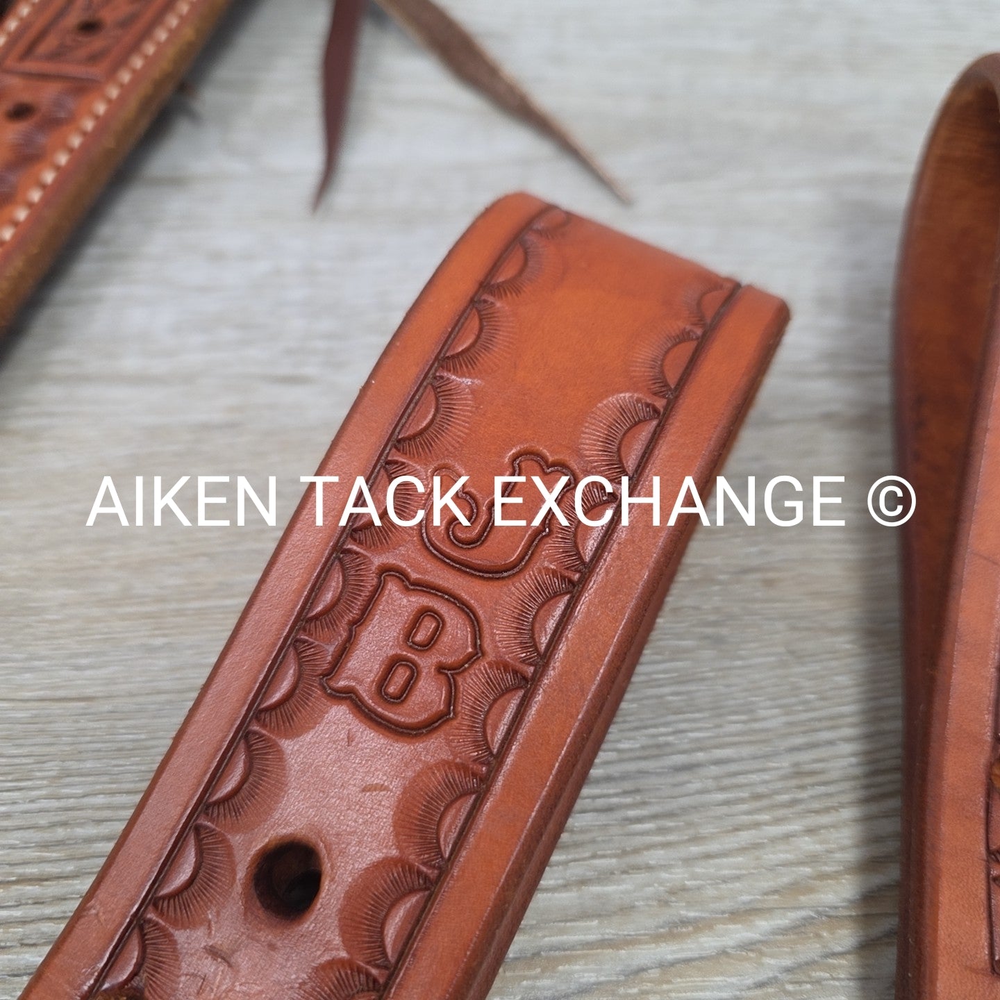 Rear Cinch Billets with Extenders