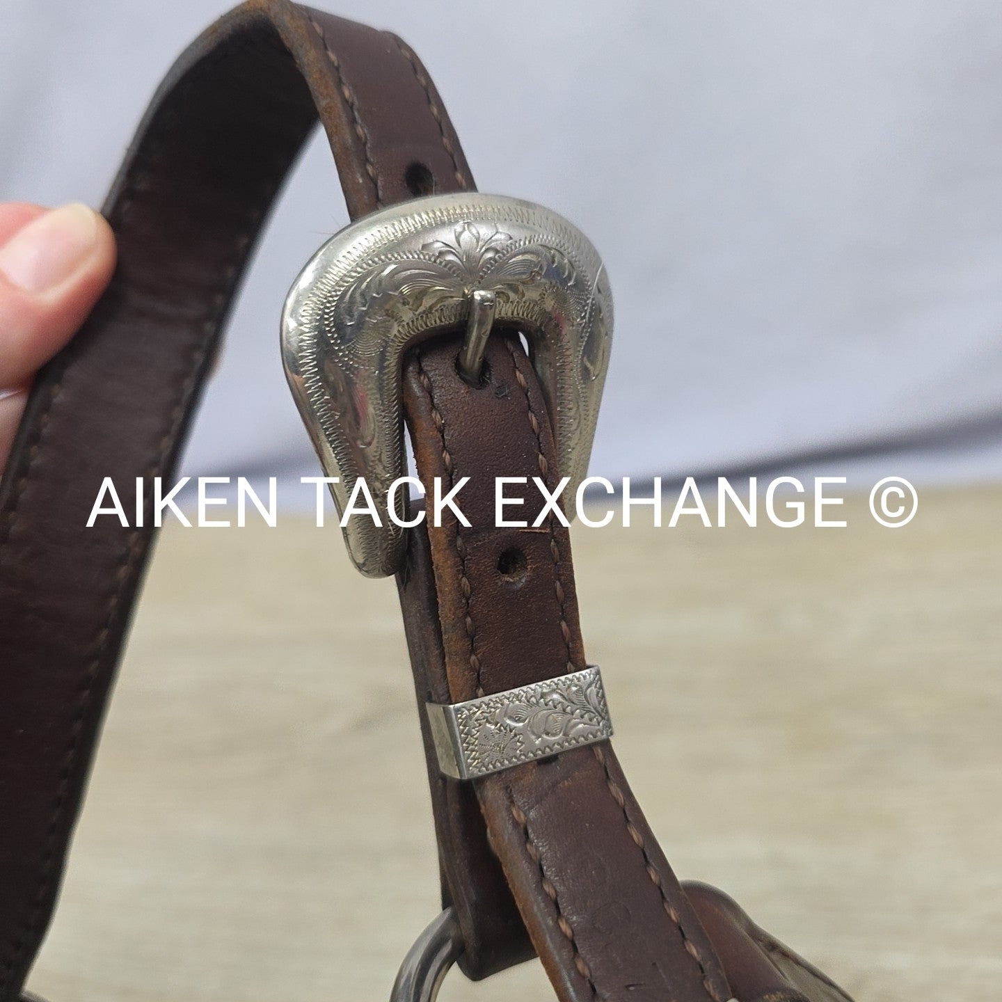 Circle Y Engraved Show Halter with Matching Lead, Size Full