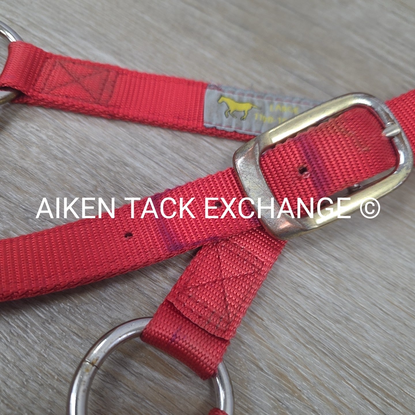 BARGAIN BUNDLE: Nylon Halter, Large, Nylon Halter Missing Crown, Full & Lead Rop