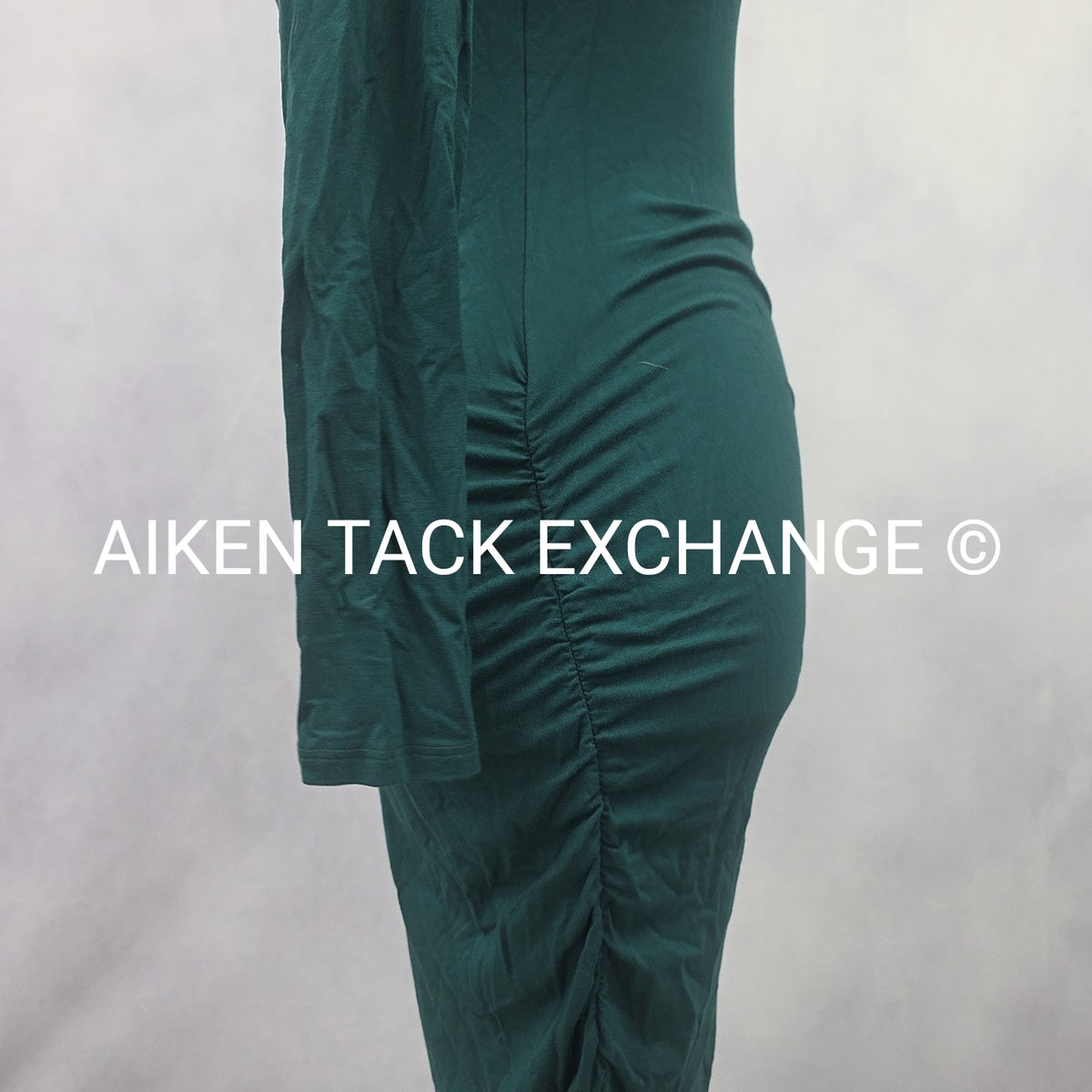 Venus Long Sleeve Dress, Size X-Small